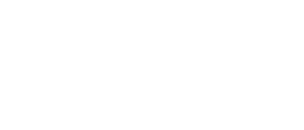 Neumáticos Javi